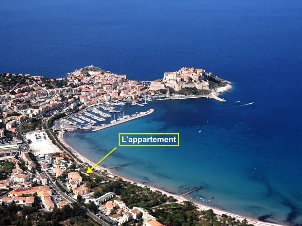 Appartement Ou Studio La Mer & La Plage A Vos Pieds Calvi Кальви Экстерьер фото